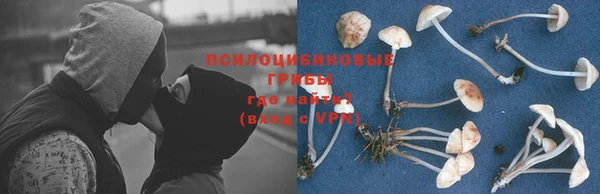 прущая мука Горнозаводск