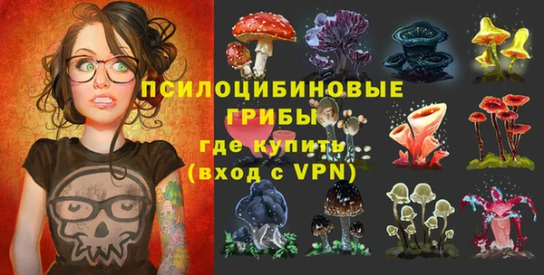 тгк Горняк