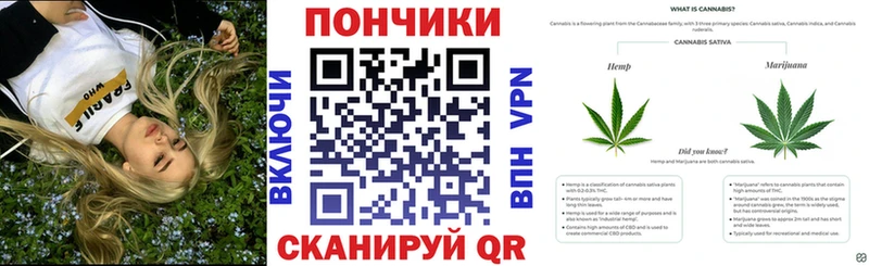 Бошки Шишки ГИДРОПОН  цена   Чухлома 